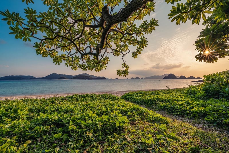 Nature Escape