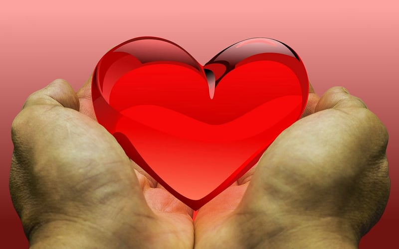 Gratitude and Appreciation